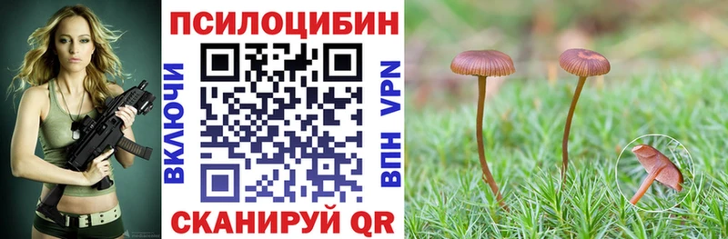 Псилоцибиновые грибы Cubensis  mega   Борисоглебск 