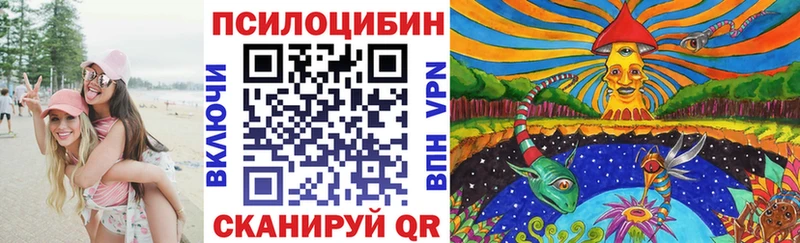 Псилоцибиновые грибы GOLDEN TEACHER Борисоглебск